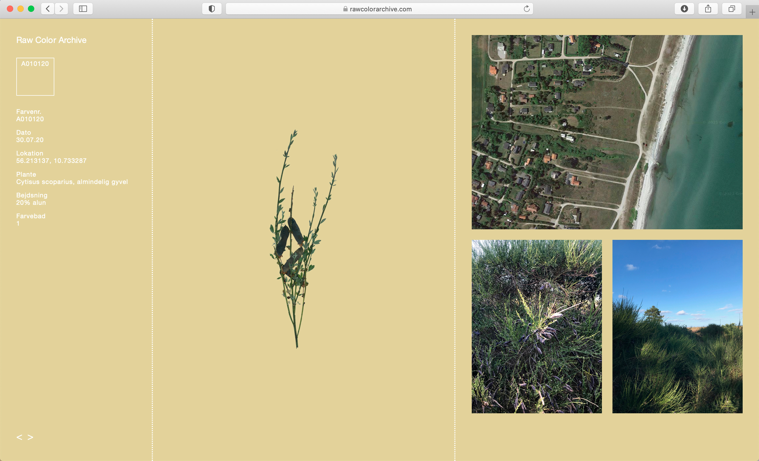 Raw Color Archive
