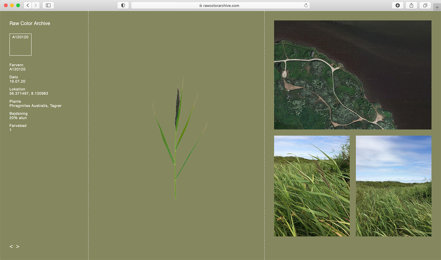 Raw Color Archive